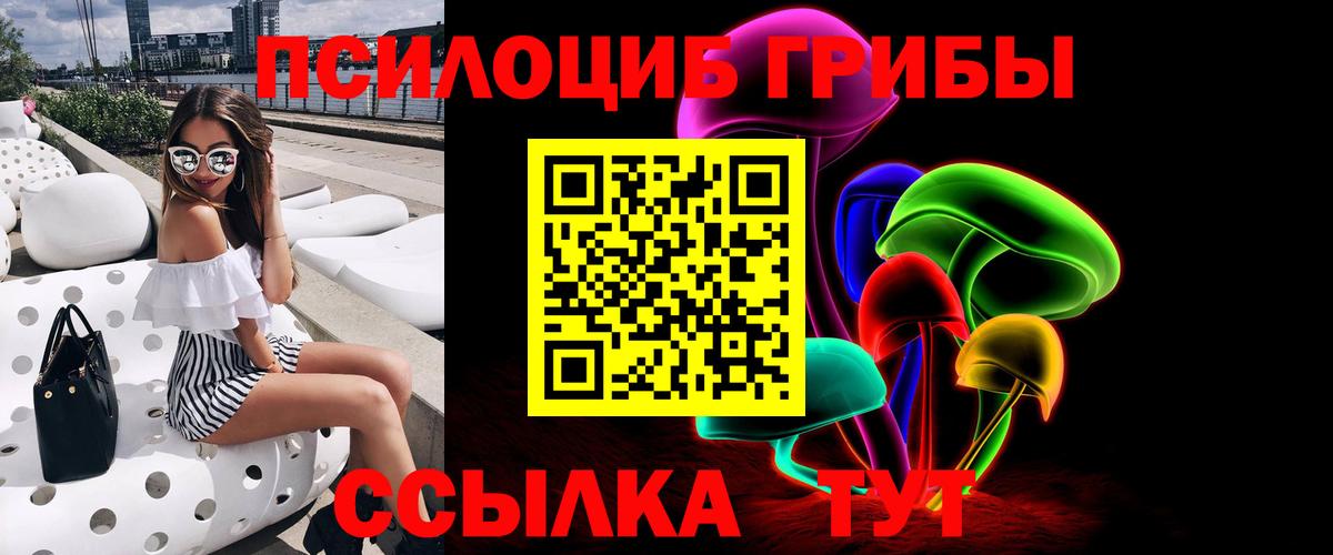 Псилоцибиновые грибы прущие грибы Донской