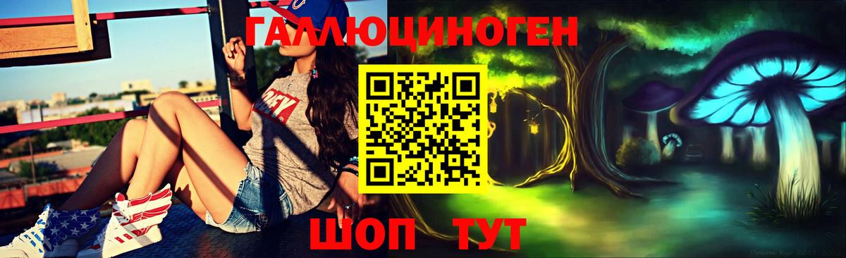 Галлюциногенные грибы Psilocybine cubensis  купить наркотик  Донской  Вход с VPN 